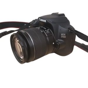 CANON EOS 250D DS126761